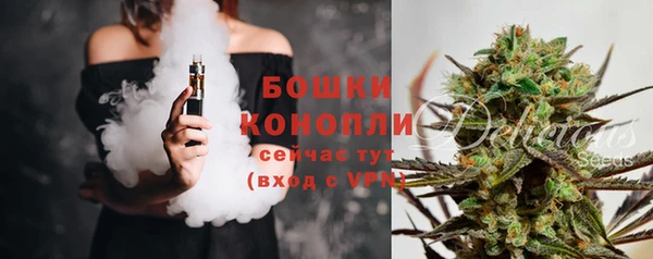 сатива Гусев