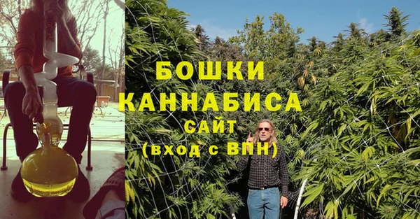 гидропоника Сясьстрой