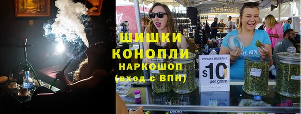 сатива Гусев