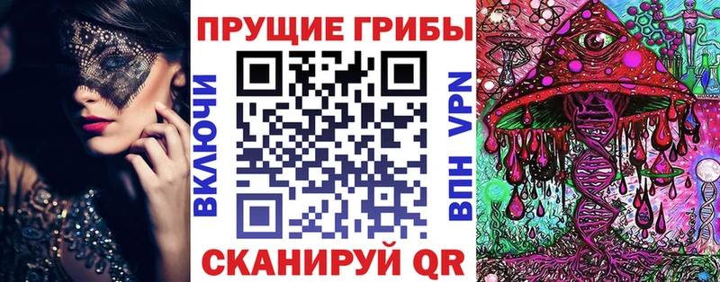 Галлюциногенные грибы Psilocybine cubensis  Нарткала 